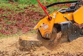 Best Lot and Land Clearing  in Pilot Point, TX