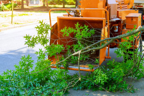 Lawn Watering Services in Pilot Point, TX