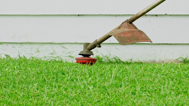 Best Lawn Drainage Solutions  in Pilot Point, TX