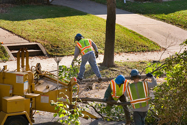 Best Lawn Irrigation Installation and Maintenance  in Pilot Point, TX