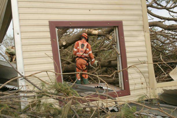Best Tree Mulching  in Pilot Point, TX