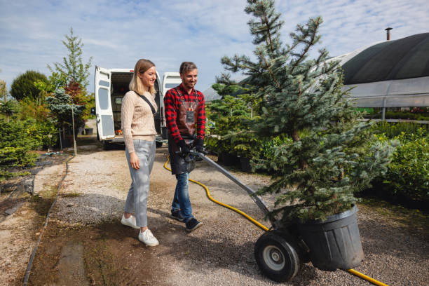 Best Firewood Processing and Delivery  in Pilot Point, TX