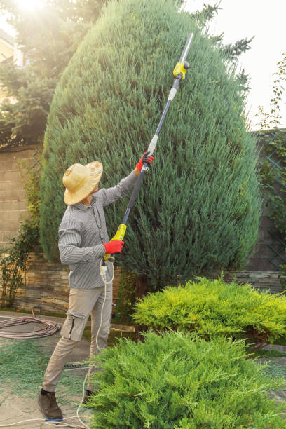 Lawn Irrigation Installation and Maintenance in Pilot Point, TX